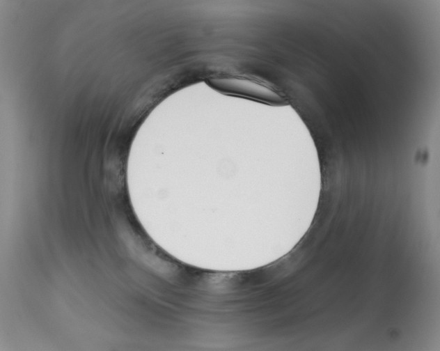 X0000113200136200910221048