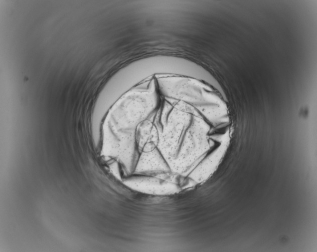 X0000113200137200910221048