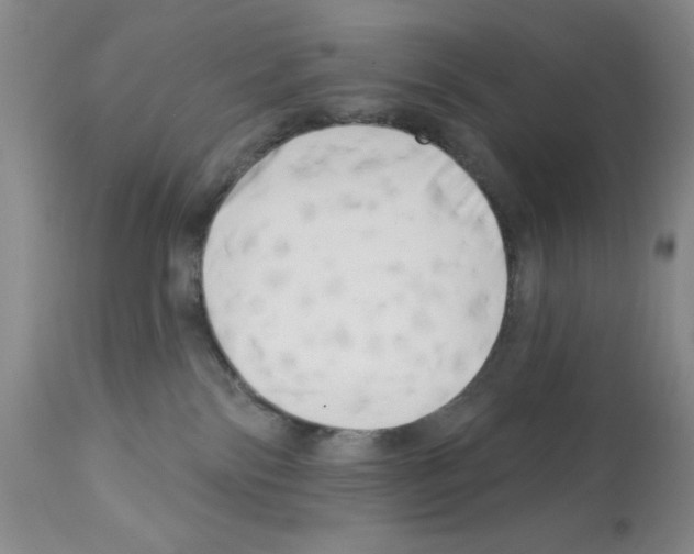 X0000113200138200910221048