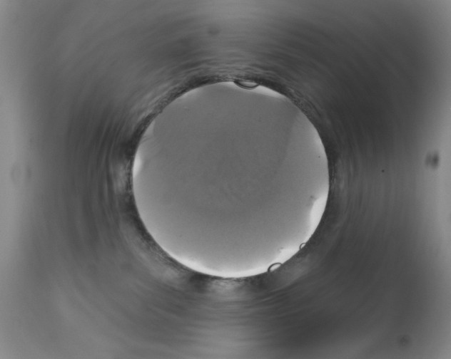 X0000113200139200910221048