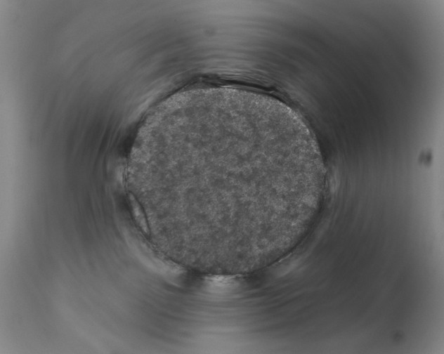 X0000113200141200910221048