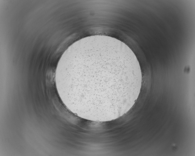 X0000113200142200910221048
