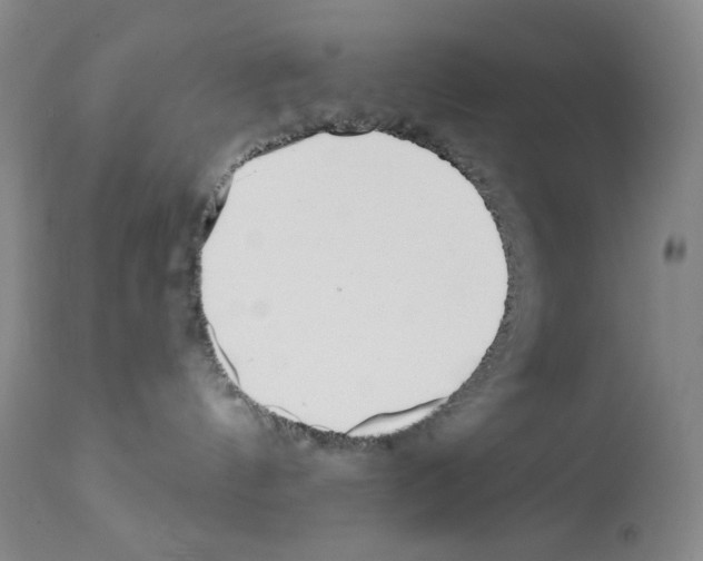 X0000113200144200910221048
