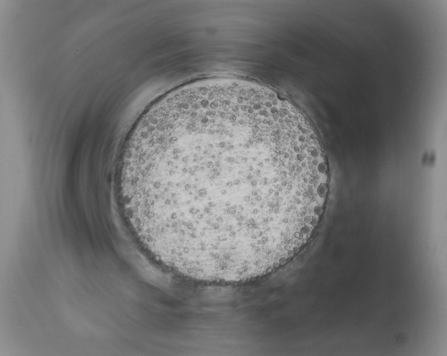 X0000113200145200910221048