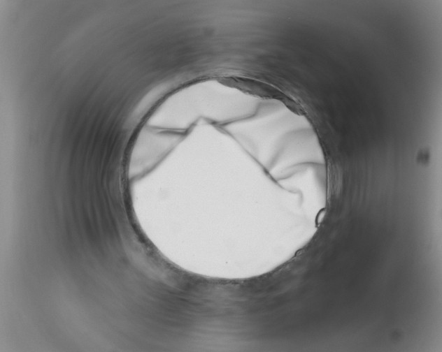 X0000113200147200910221048