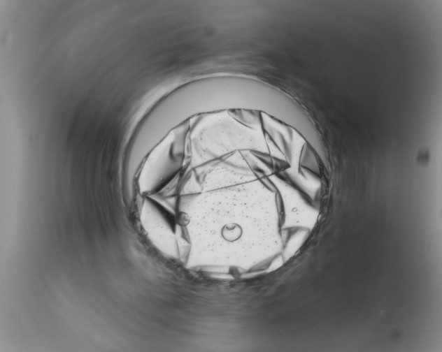 X0000113200148200910221048