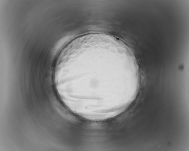 X0000113200149200910221048