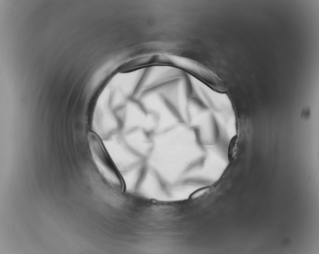 X0000113200150200910221048