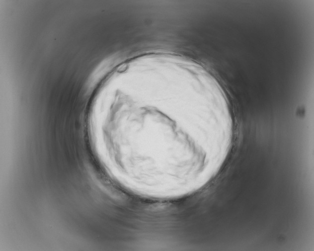 X0000113200151200910221048