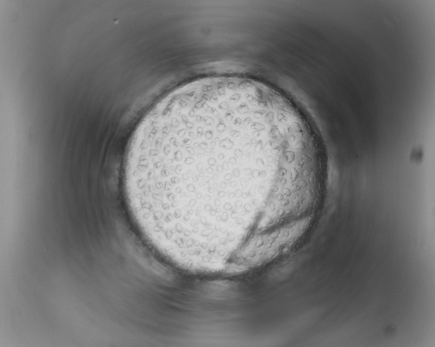 X0000113200153200910221048