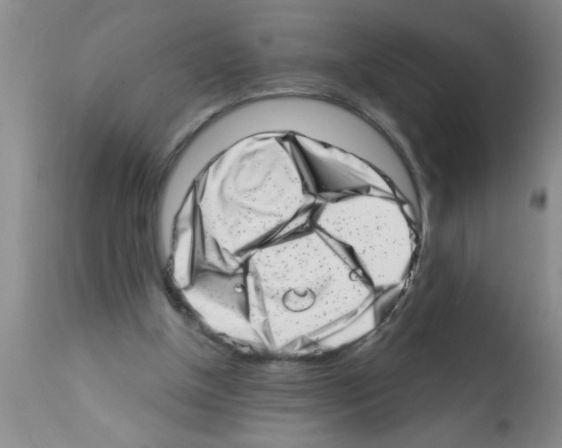 X0000113200154200910221048