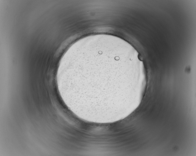 X0000113200155200910221048