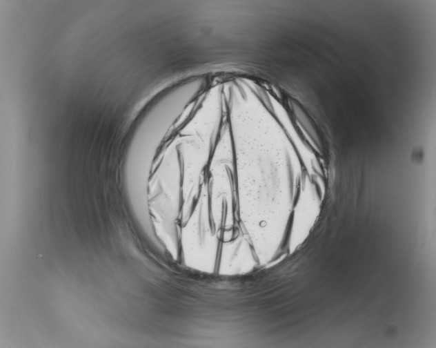 X0000113200156200910221048