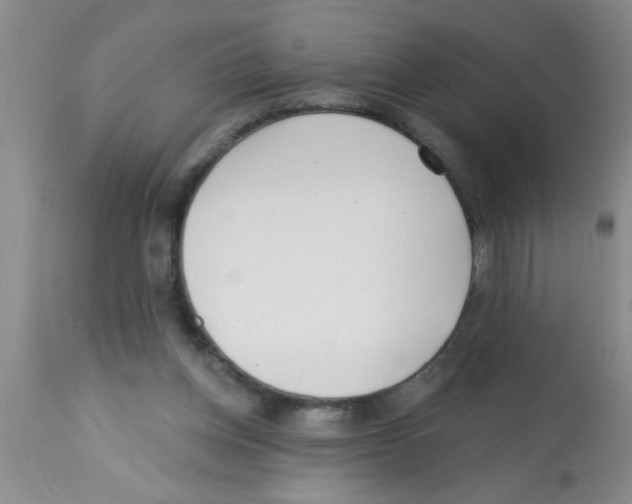 X0000113200158200910221048