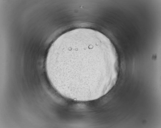 X0000113200159200910221048