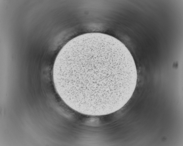 X0000113200162200910221048
