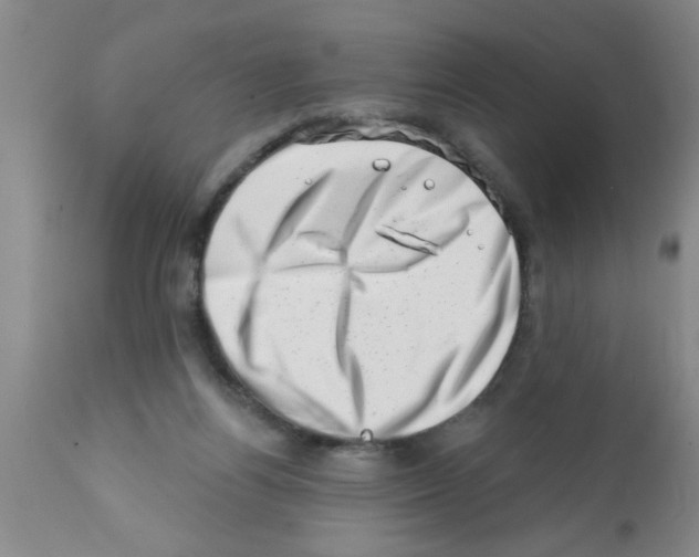 X0000113200164200910221048