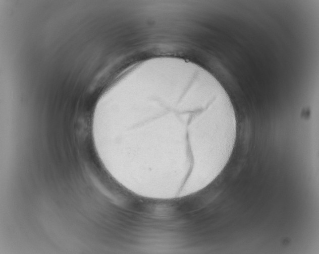 X0000113200165200910221048