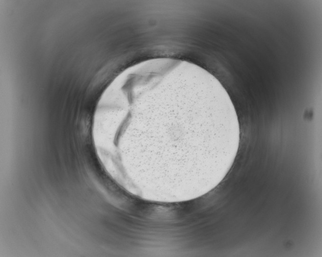 X0000113200166200910221048