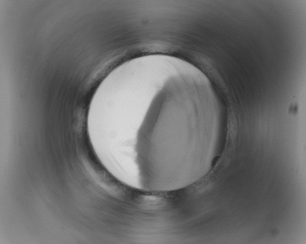 X0000113200167200910221048