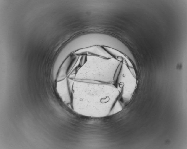 X0000113200168200910221048