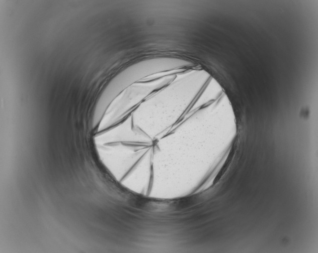 X0000113200170200910221048