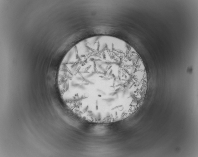 X0000113200171200910221048