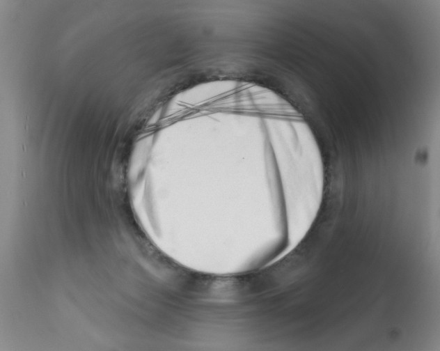 X0000113200173200910221048