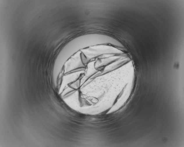 X0000113200174200910221048