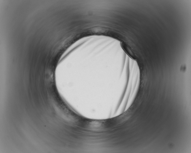 X0000113200176200910221048