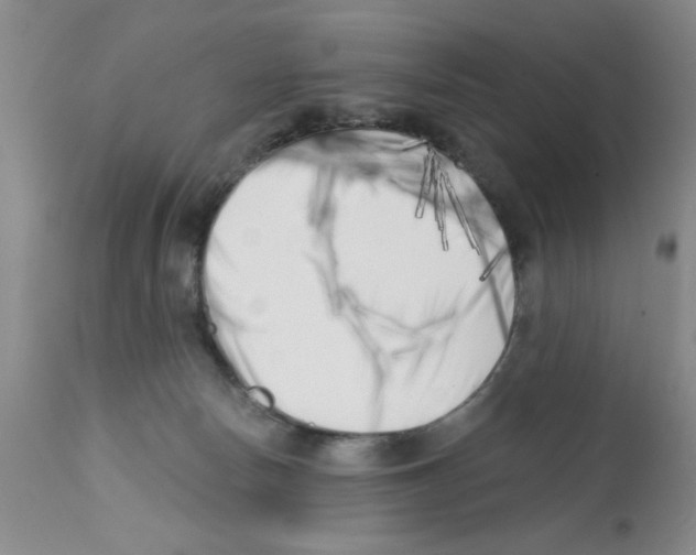 X0000113200178200910221048