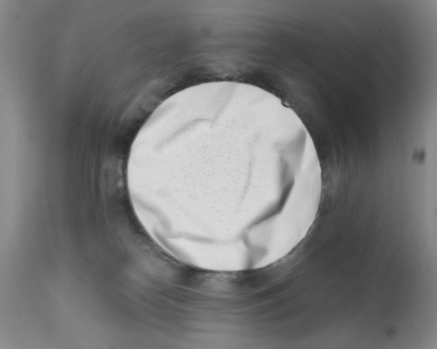 X0000113200182200910221048