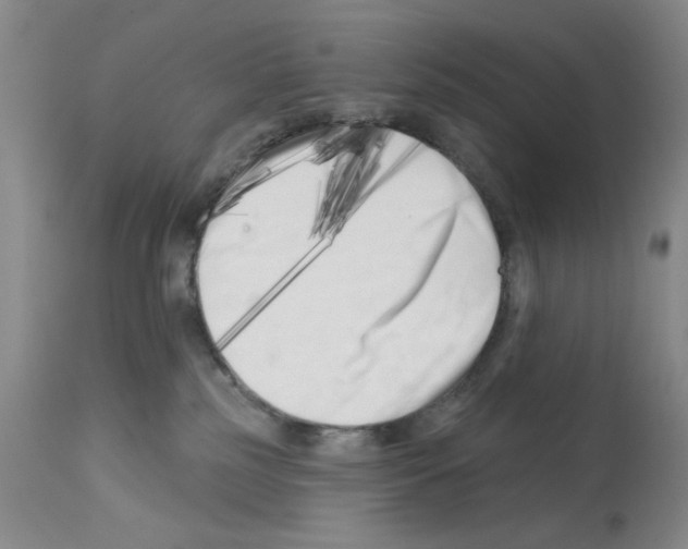 X0000113200185200910221048