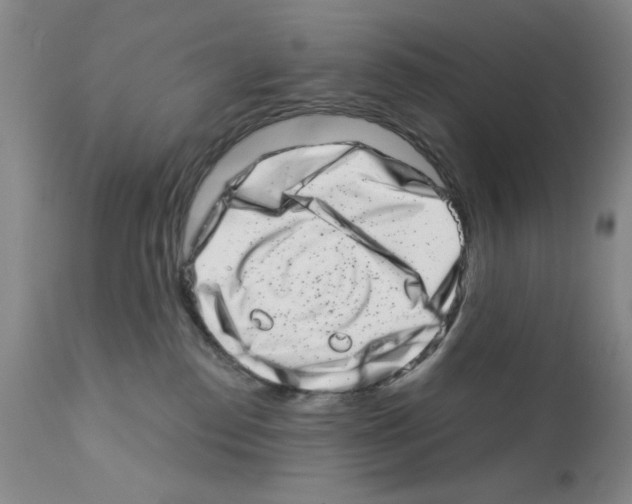 X0000113200186200910221048