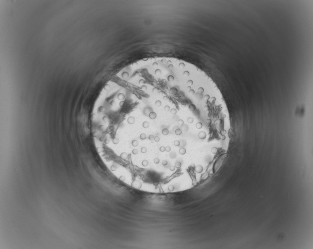X0000113200187200910221048