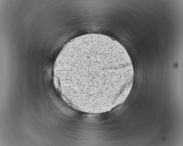 X0000113200188200910221048