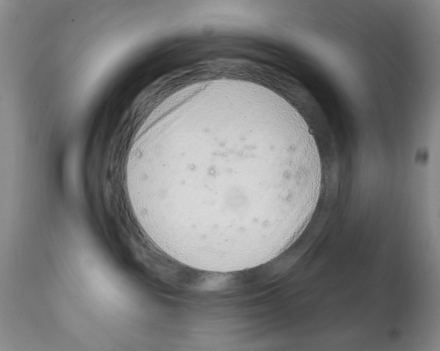 X0000113200189200910221048