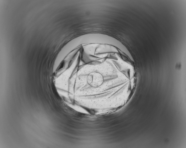 X0000113200190200910221048
