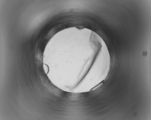 X0000113200191200910221048