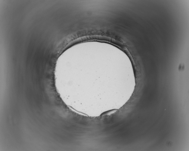 X0000113200192200910221048