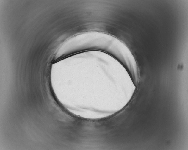 X0000113200193200910221048