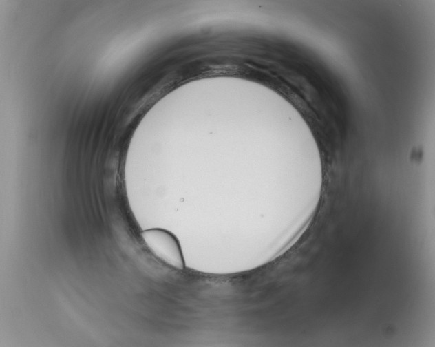 X0000113200194200910221048