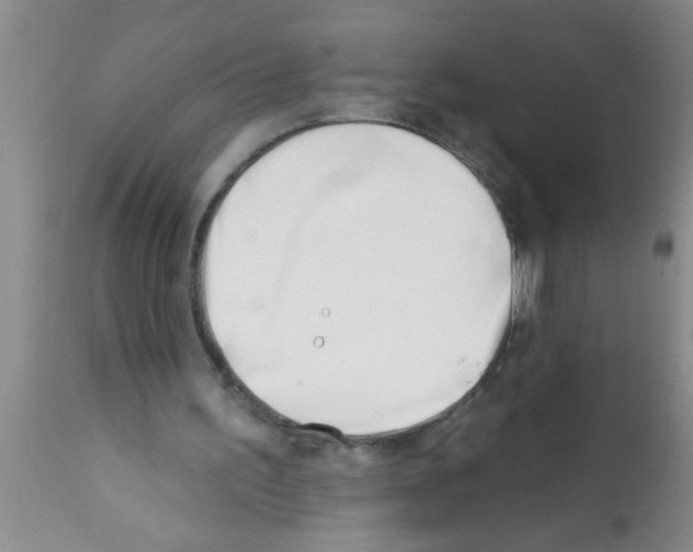 X0000113200195200910221048