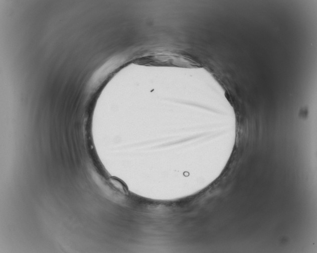 X0000113200197200910221048