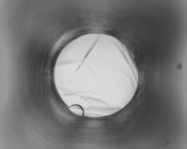 X0000113200198200910221048