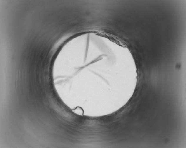 X0000113200200200910221048