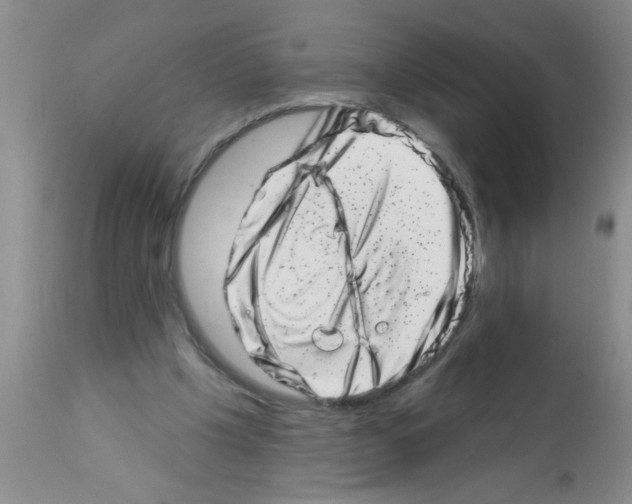 X0000113200201200910221047
