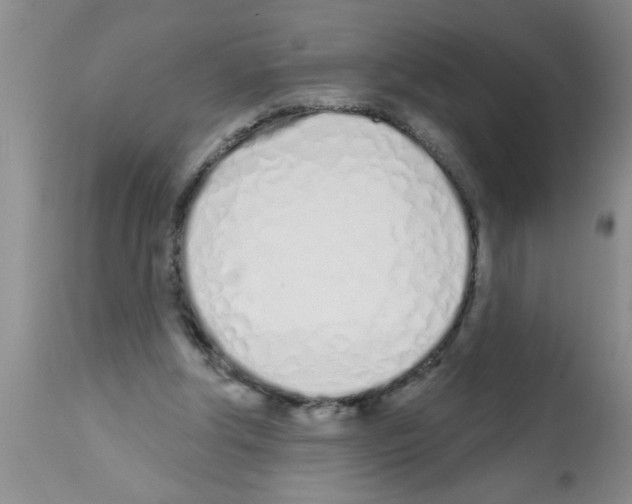 X0000113200202200910221047