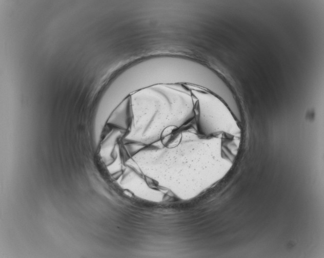 X0000113200203200910221047
