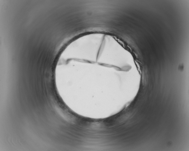 X0000113200204200910221047